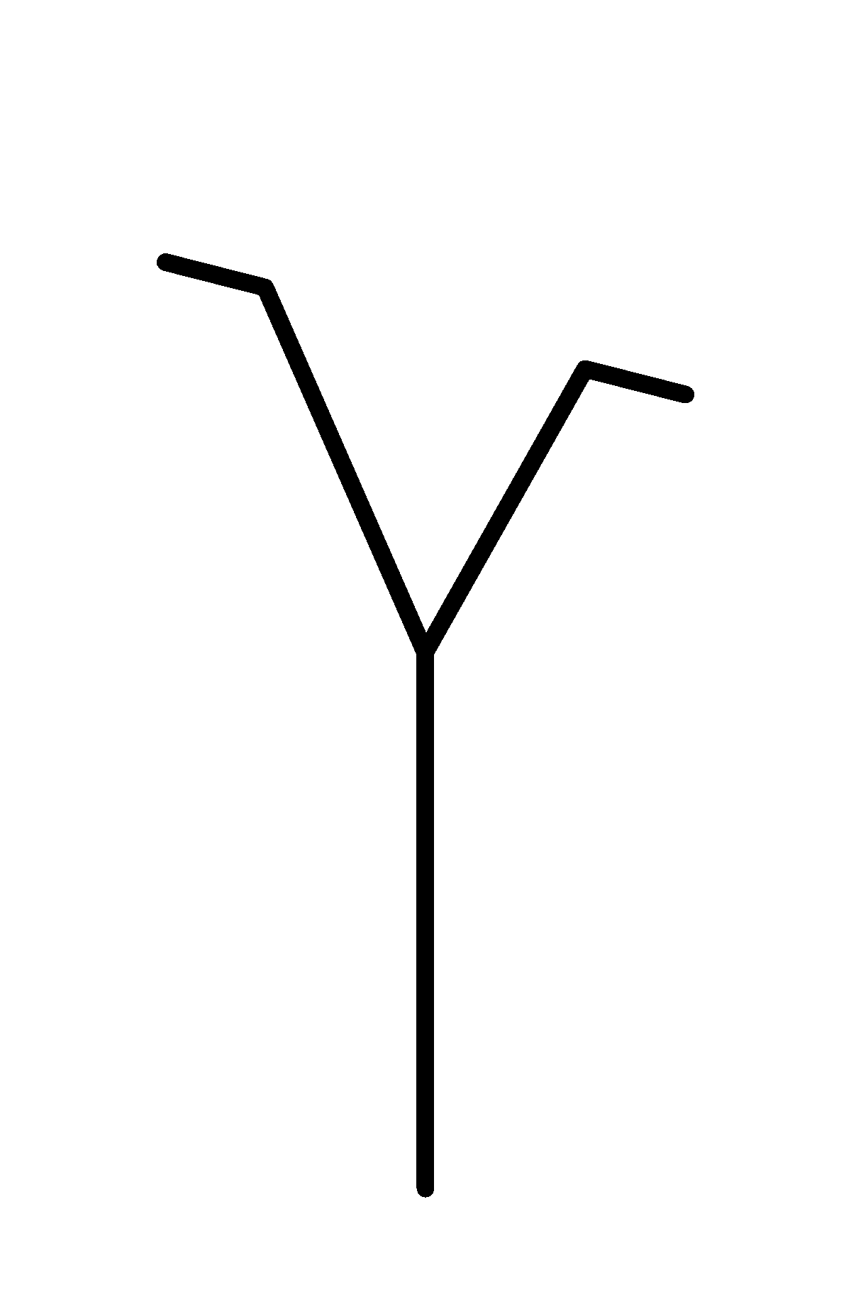 3D Grob
